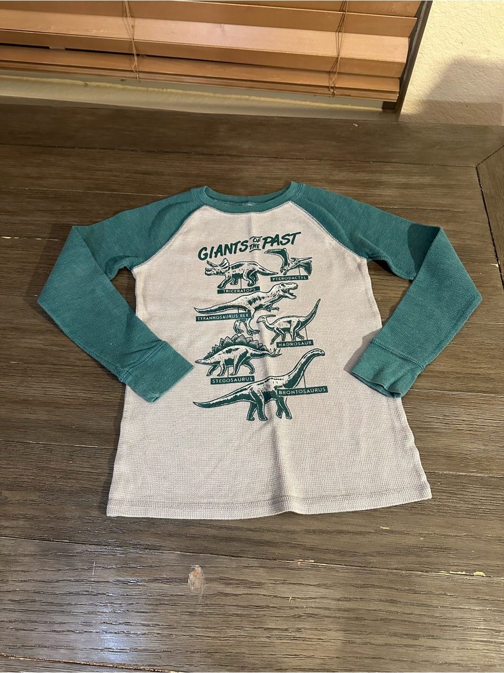 Boys Sz 8 Green & Grey 'Giants of the Past' Dinosaur Raglan Shirt